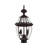 Arelene Lantern Head-1387936255-1387936128