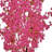 6' Bougainvillea Tree-951268911