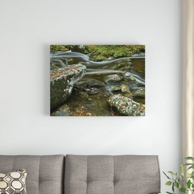 " Laurel Creek "