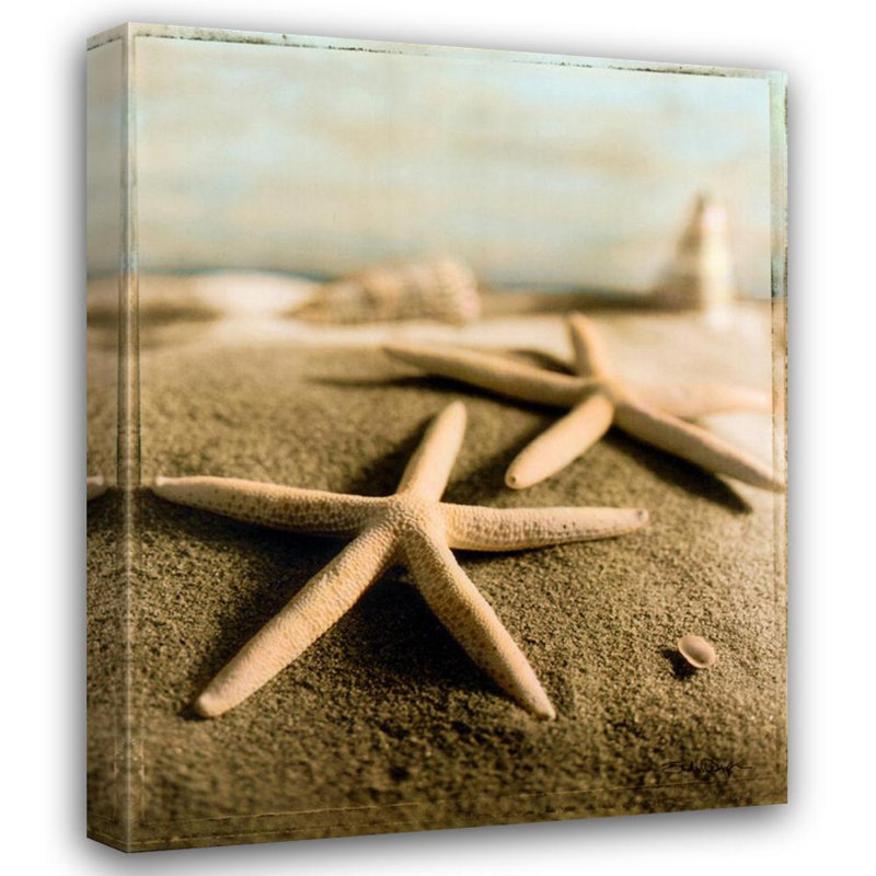 Coquillage IV, H 24 po x l 19 po