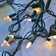 Electric Mini String Lights with 100 Bulbs