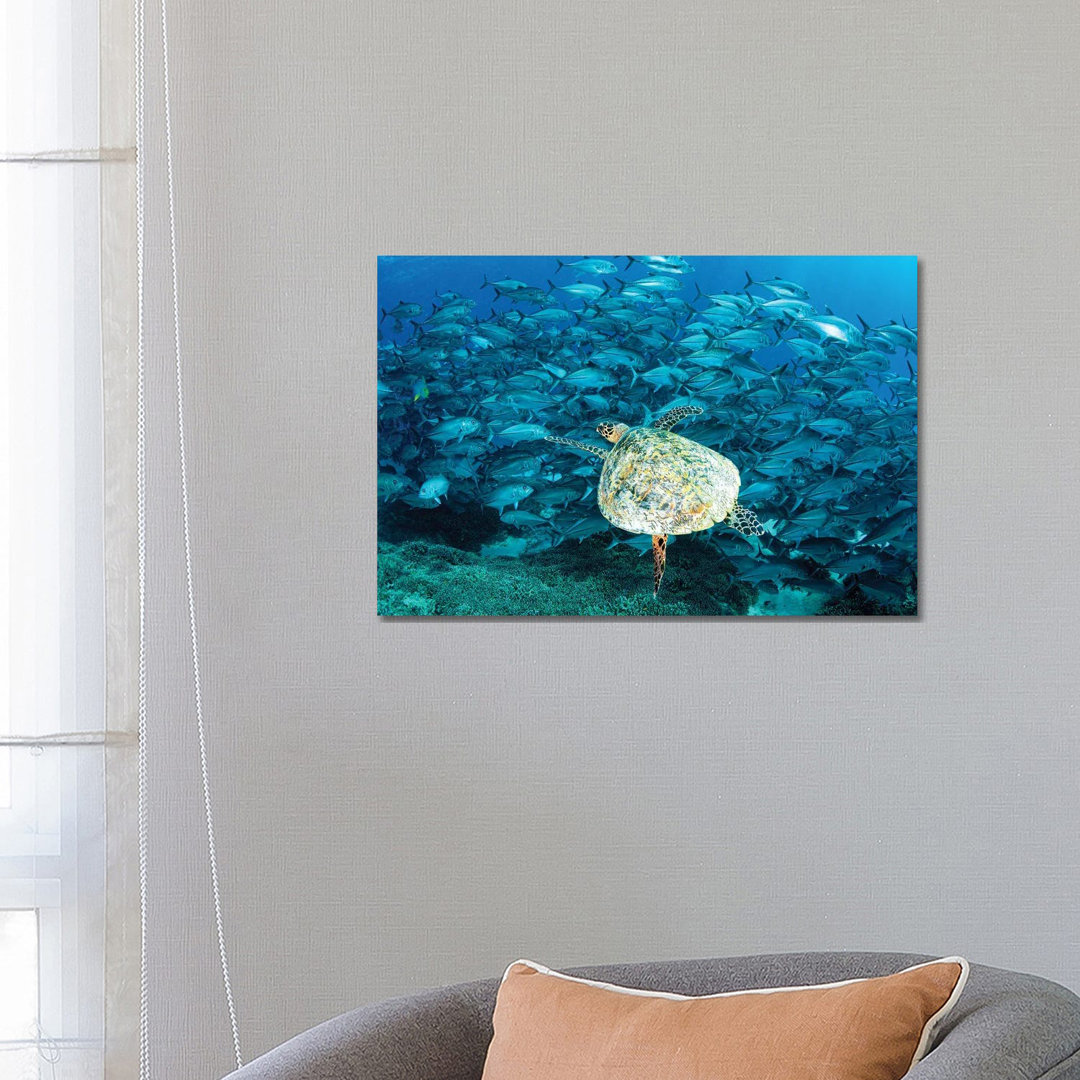 Peak Hour On The Reef von Jordan Robins - Gallery-Wrapped Canvas Giclée on Canvas