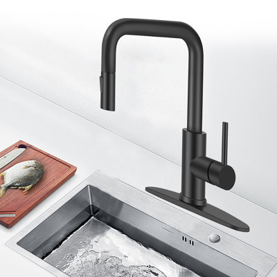 Robinet de cuisine avec robinet d'arrosage rétractable à poignée simple en acier inoxydable