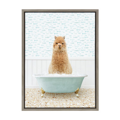 «Alpaca in Little Fish Bath» par Amy Peterson, reproduction d'art sur toile encadrée