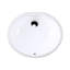 Euro 19.5'' L Bathroom Sink