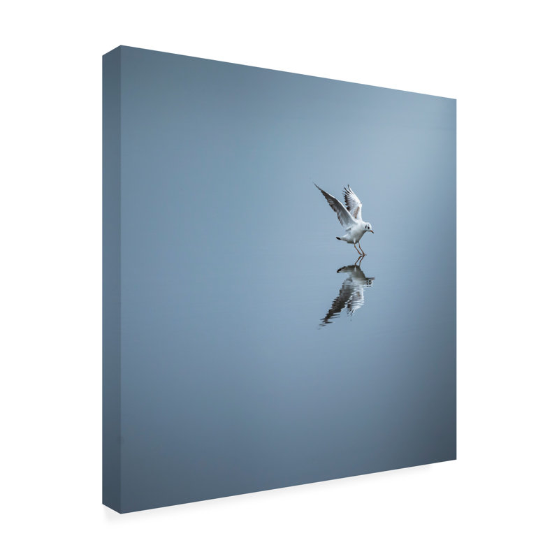 David Ahern  Touchdown Canvas Art, 14" H x 14" W