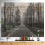 «Black and White Freeway in Forest», reproduction d'art paysage-34273625-34273624