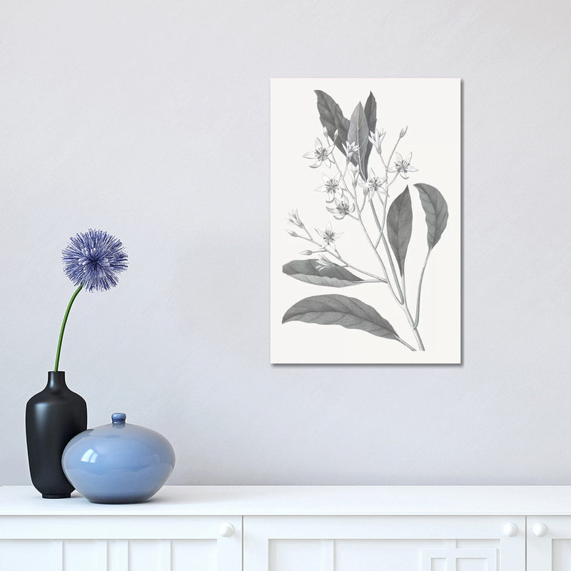 Neutral Botanical V - Wrapped Canvas Painting, 30.48 cm H x 45.72 cm W