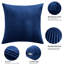 Aspire Homeware Embossed Square Velvet Cushion Cover-1369239074-1367818242