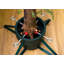 Metal Artificial Tree Stand For Max. Tree Height-91766956