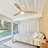 Jaustin 52'' Ceiling Fan with LED Lights-1446773645-1446042183