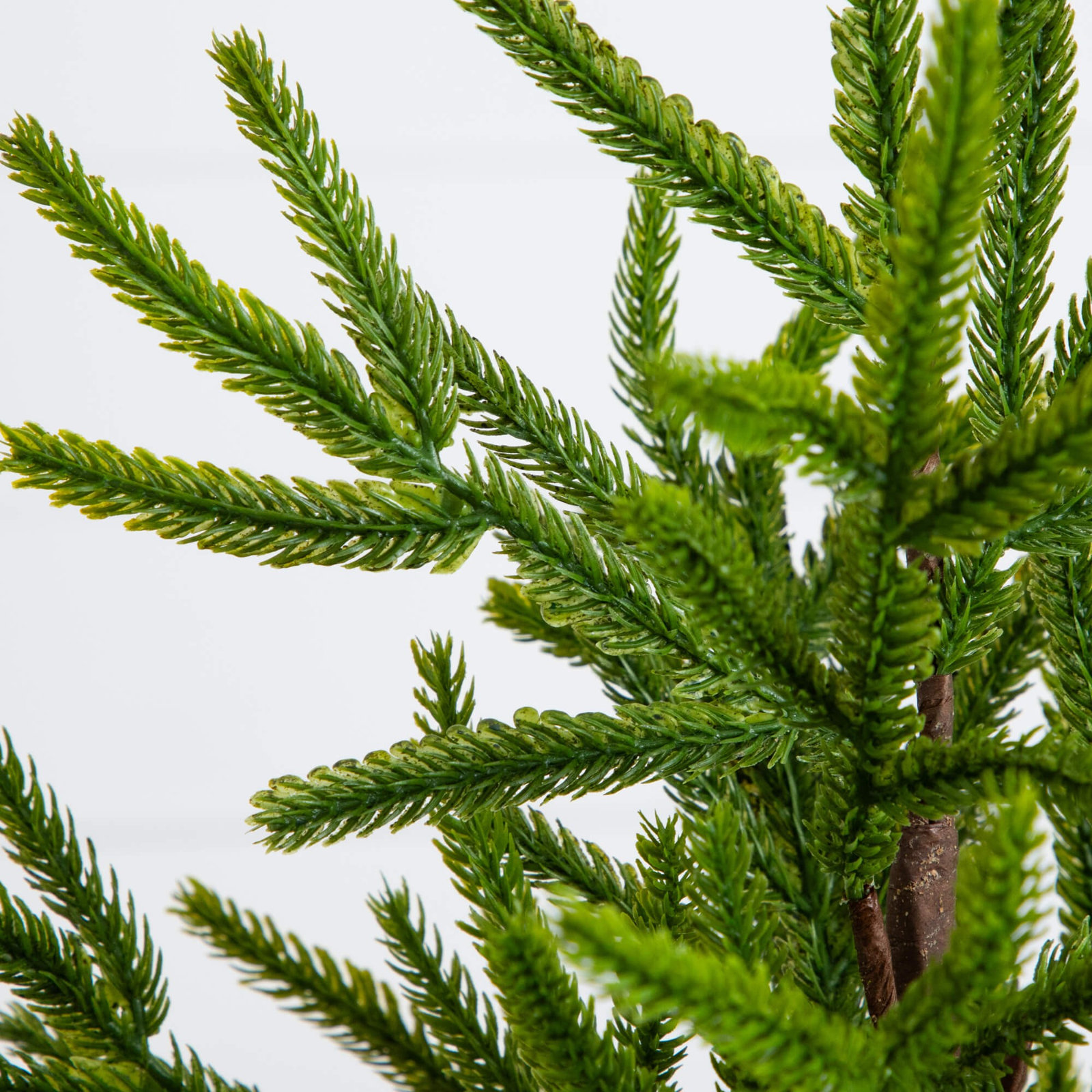 22In. Artificial Real Touch Norfolk Island Pine In White Decorative Planter With Natural Look
