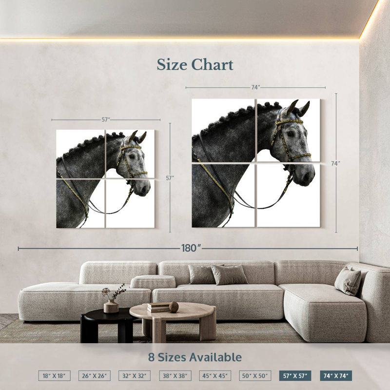 Brampt Gray Spanish Horse