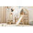 Wooden Loft Twin Size Bed House-Shaped Frame With A Tent