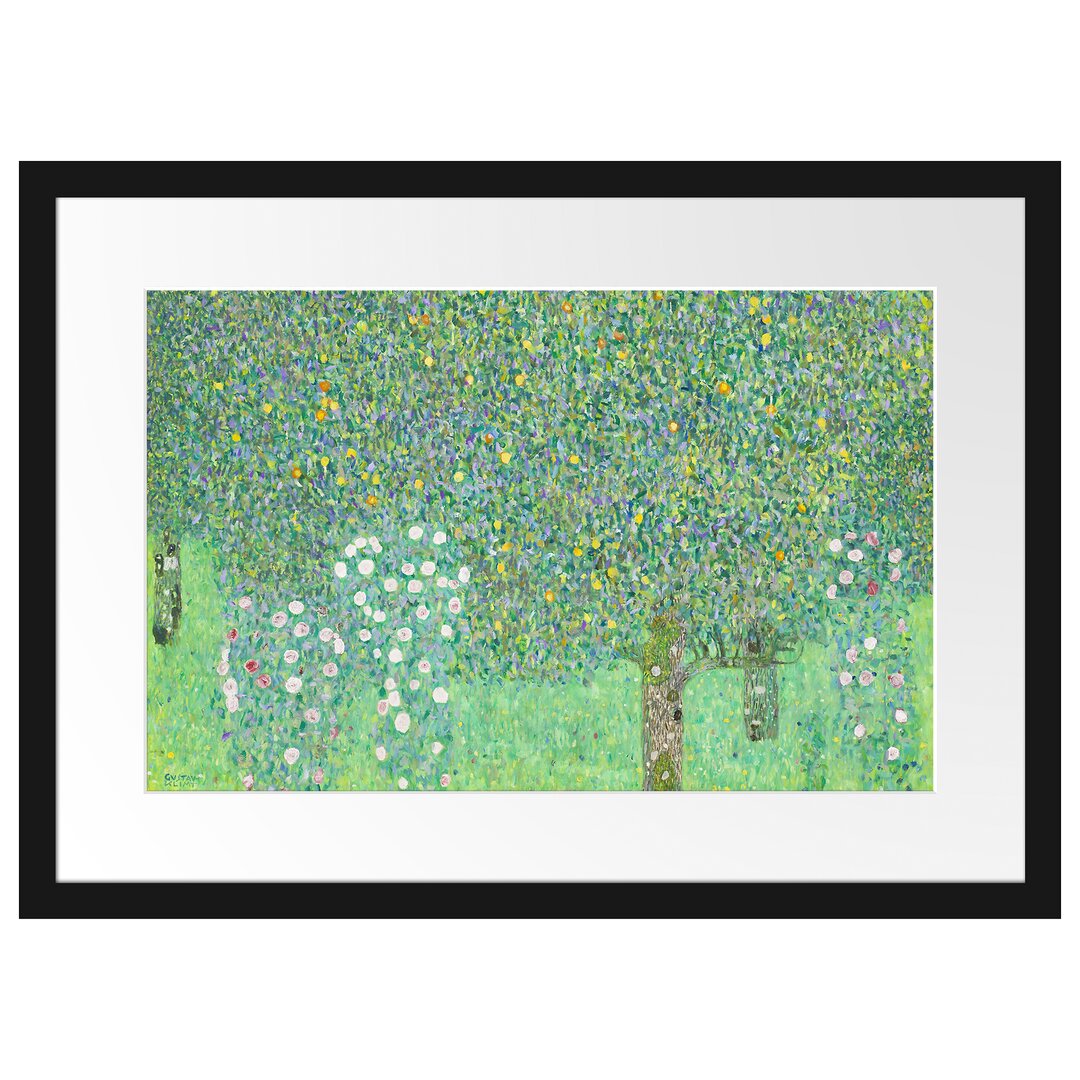 Gerahmter Kunstdruck Roses Under Trees von Gustav Klimt