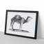 Arabian Camel In Black And White by George Shaw - Single Picture Frame Print-55545162-55545168