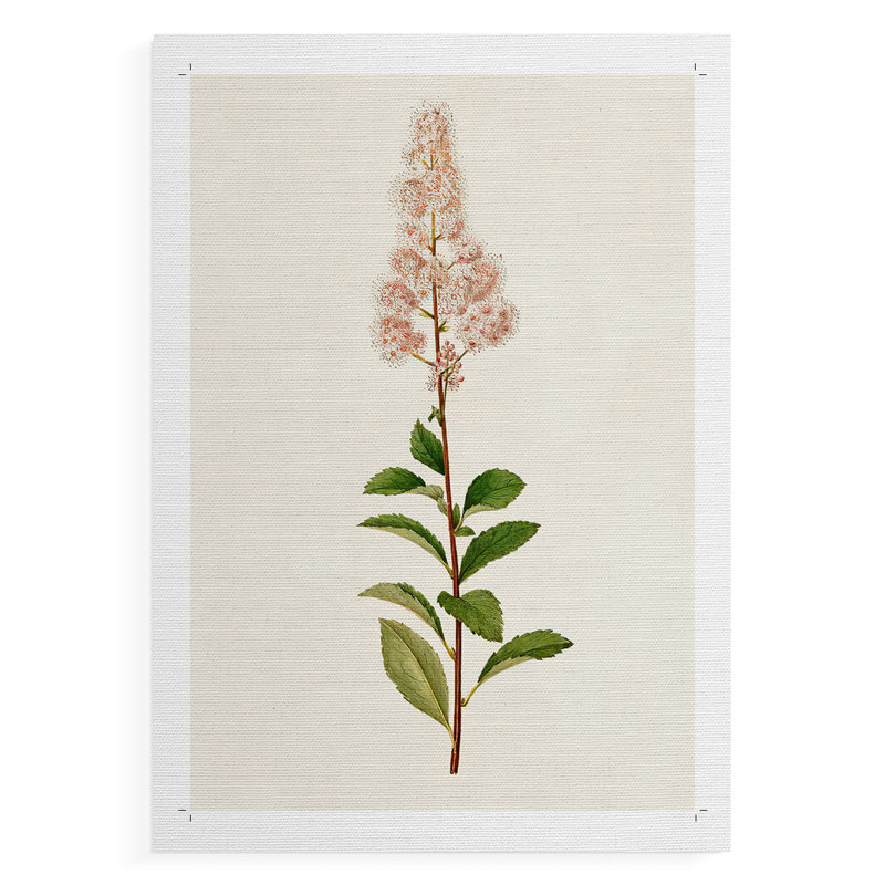 Mauve Garden Flowers II - reproduction de toile seulement - non encadrée, 48" H x 32" W