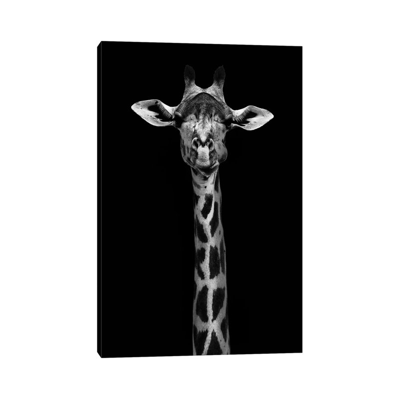 Giraffe Portrait - Wrapped Canvas Print, 66.04cm H x 45.72cm W x 3.81cm D