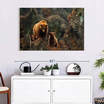 Brampt Bear And Cubs