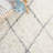 Anaily Hand Woven Performance Geometric Rug-1450312866