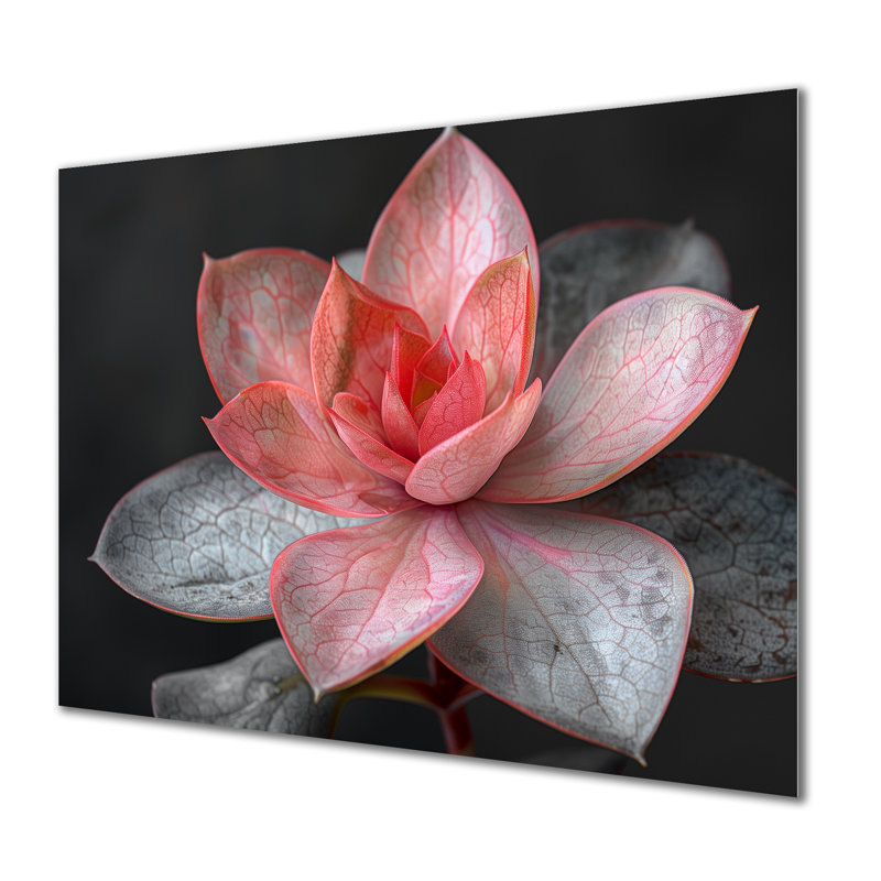 Beauté botanique succulente monochrome III - Décoration murale succulente, H 30 po x l 40 po x P 1,5 po, Métal métal