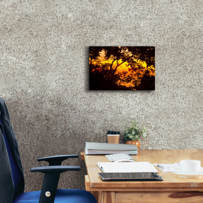 Art mural sur toile Latitude Run® «Deep Forest Sunset» par Mark Ashkenazi, H 12 po x l 18 po x P 0,75 po