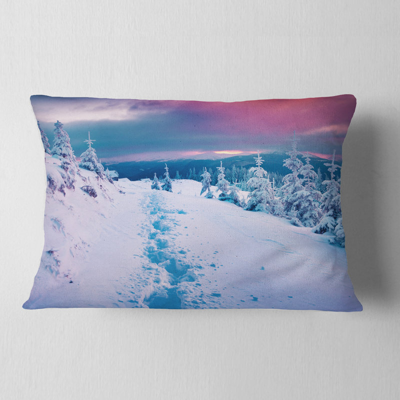 Coussin Schafer