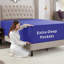 Drap-housse uni Empyrean Bedding-732433780-743435157