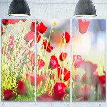 Isolated Red Poppy Flowers On Metal Print