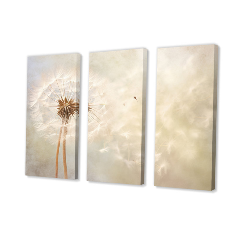 Pissenlit blanc, impression romantique IV sur toile, 3 pièces, H 32 po x l 48 po x P 1 po