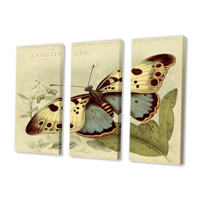 Illustration rétro de papillons III - animaux, ensemble d'art mural sur toile_80514