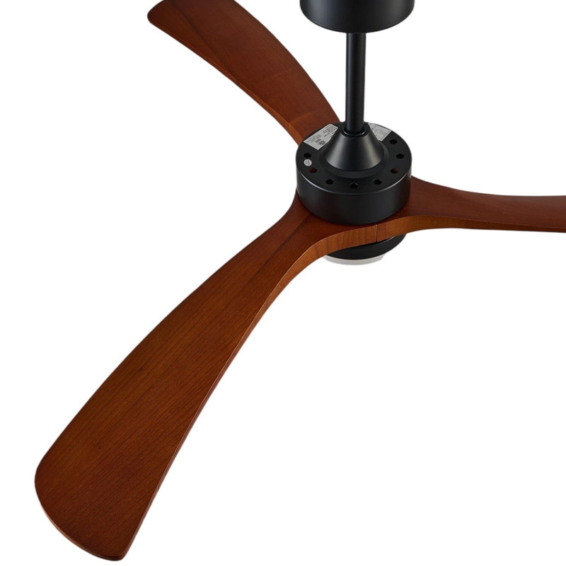 Ventilateur de plafond 52 po à intensité variable Modern Farmhouse avec lumières DEL et télécommande