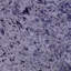 Aeman Upholstered Velvet Panel Headboard-1627066852-1820787891-1820787900