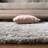 Kressley Pro Lux Shag 400 Performance Geometric Rug-109286461