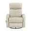 Fauteuil inclinable et oscillant-1275705807