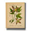 Epic Graffiti 'Atragene Alpina'  by Art Licencing Studio Canvas Wall Art, 26" x 34"-109177114