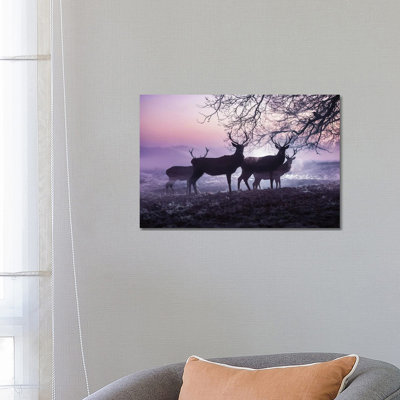 Mystic Mists 1 Piece Wrapped Canvas Painting