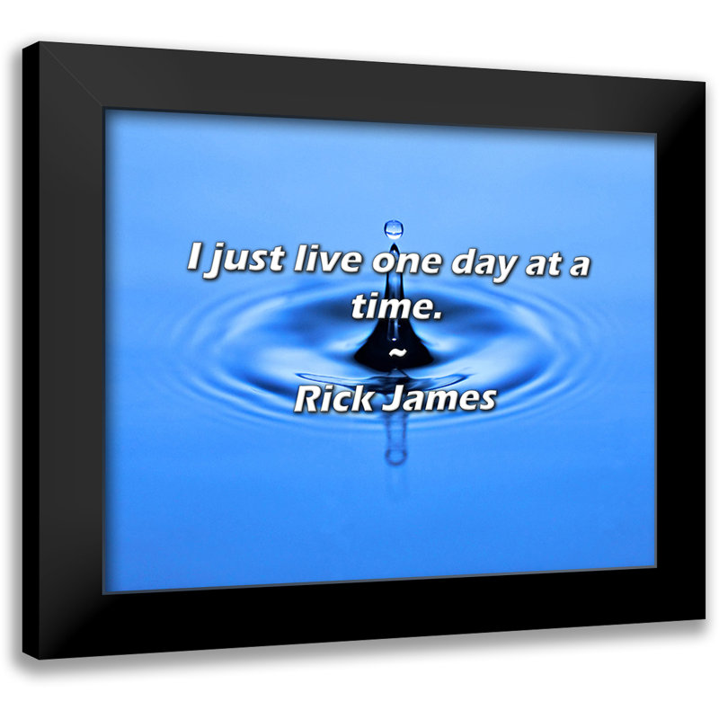 Citation de Rick James: Je vis juste un jour à la fois.