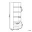 Coelia 163cm H x 57cm W Library Bookcase