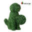 Topiaire buis 24 po