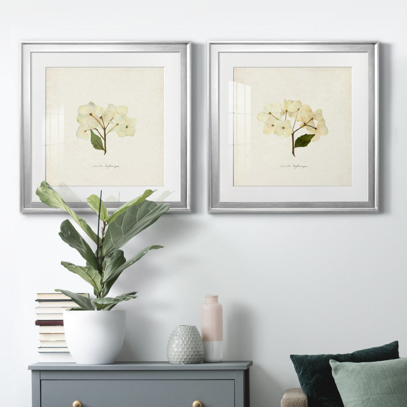 Cornales Hydrangea I Cornales Hydrangea I - ensemble de 2 reproductions de cadres photo, H 26,5 po x l 53 po, Argent argent