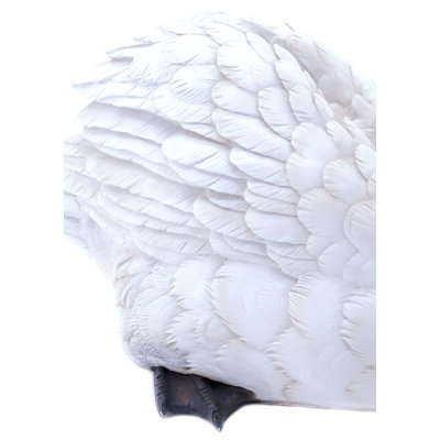 Swan Statue