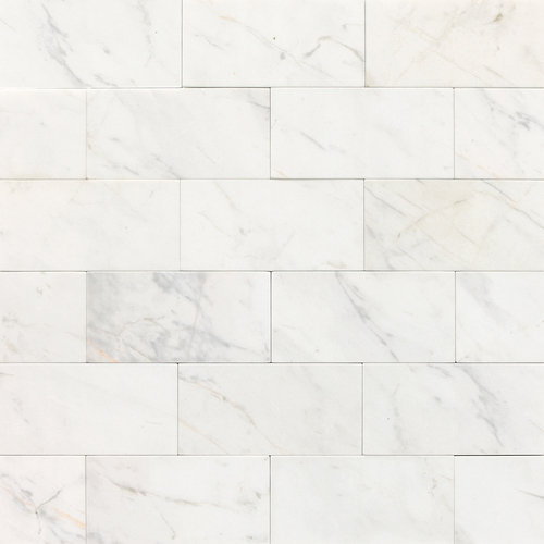 Marble Collection 6" x 3" Unpolished Polished Natural Stone Field Tile in Contempo White