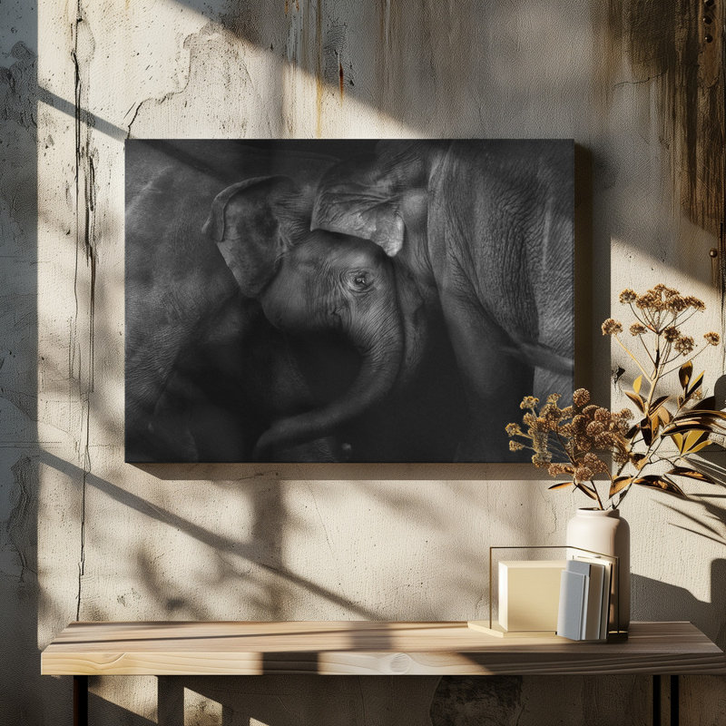 Wrapped Canvas Print, 60.96 cm H x 91.44 cm W