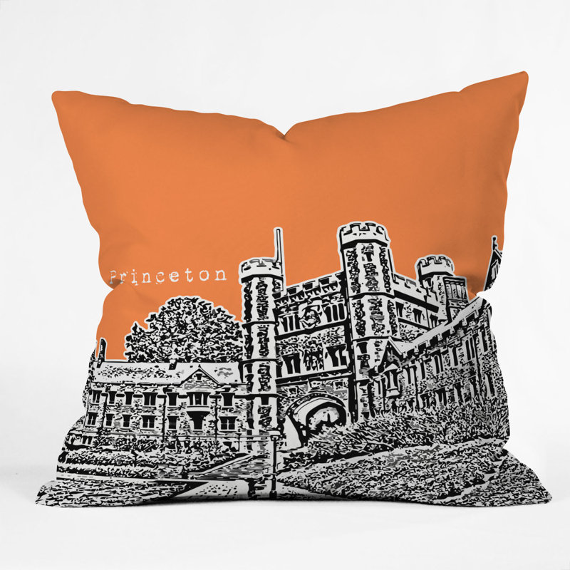 Coussin intérieur / extérieur Bird Ave University, 20 po x 20 po, Université Princeton