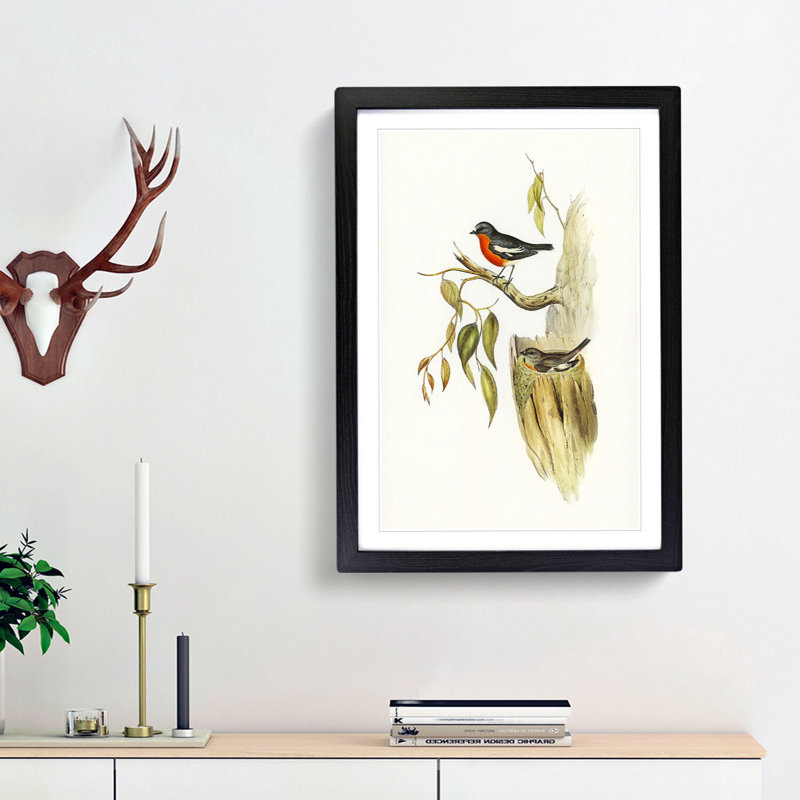 Flame-Breasted Robin by Elizabeth Gould - Picture Frame Painting Print, 48cm H x 36cm W x 2cm D, Black Framed