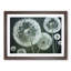 Joyful Dandelion Flowers - Framed Print-169661302-169661307