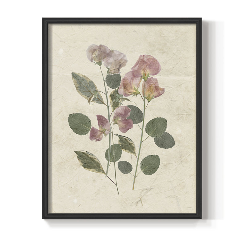 Pressed Arrangement II, reproduction encadrée - bois massif, Noir, noir, noir, noir, H 30 po x l 24 po