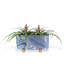 Arctic Planter