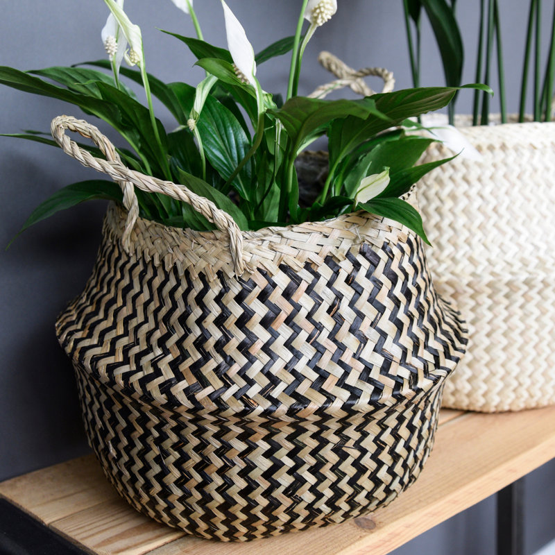 Duarte Indoor Seagrass Lined Basket Planter, 30 cm H x 30 cm W x 26 cm D